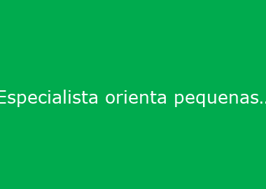 Especialista orienta pequenas e médias empresas no mercado internacional